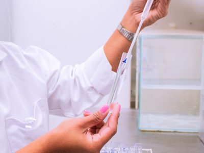 Ensaio cladocera